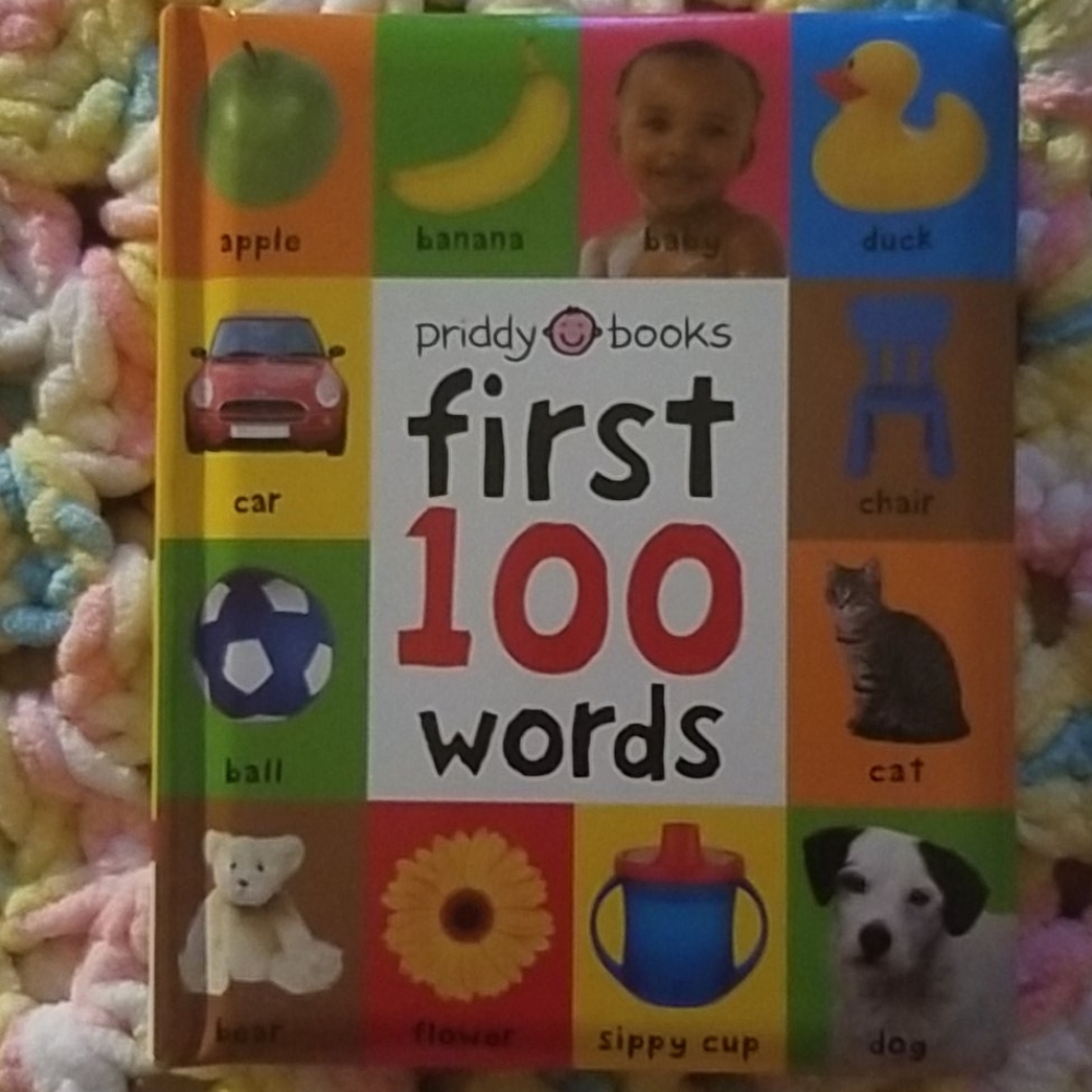 Baby Book- "First 100 Words"